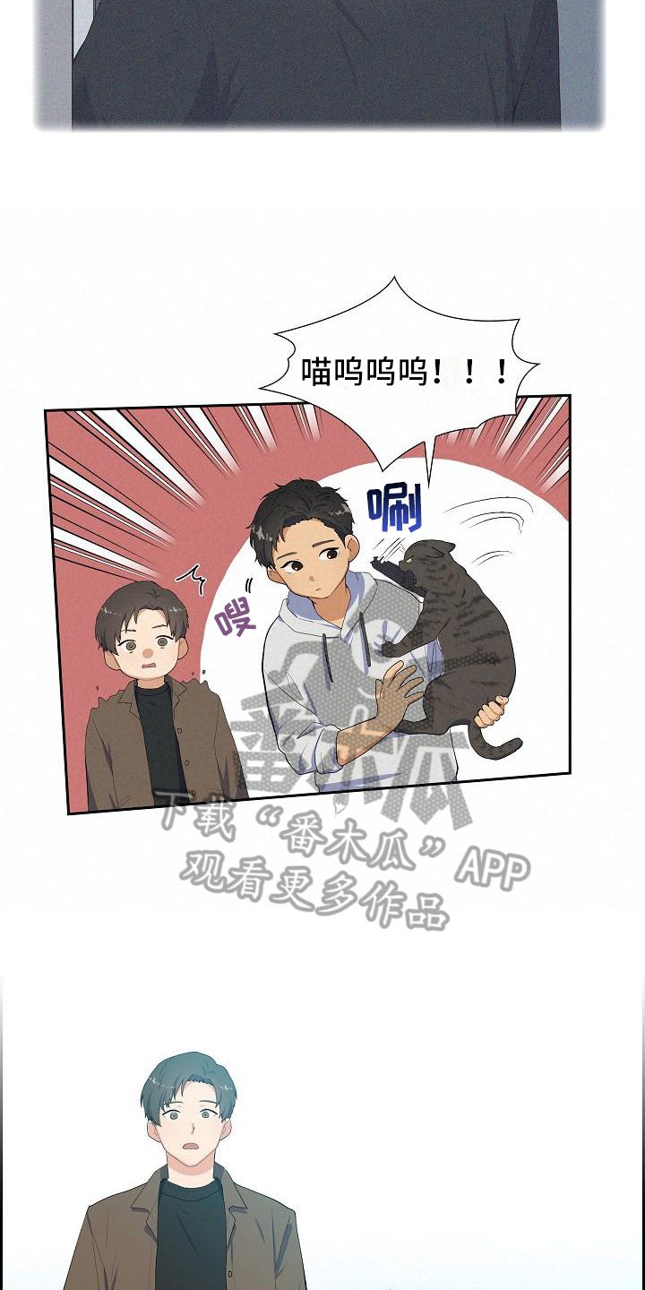 第4话：小团预览分镜