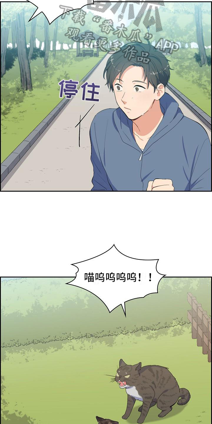 第7话：猫的纷争预览分镜