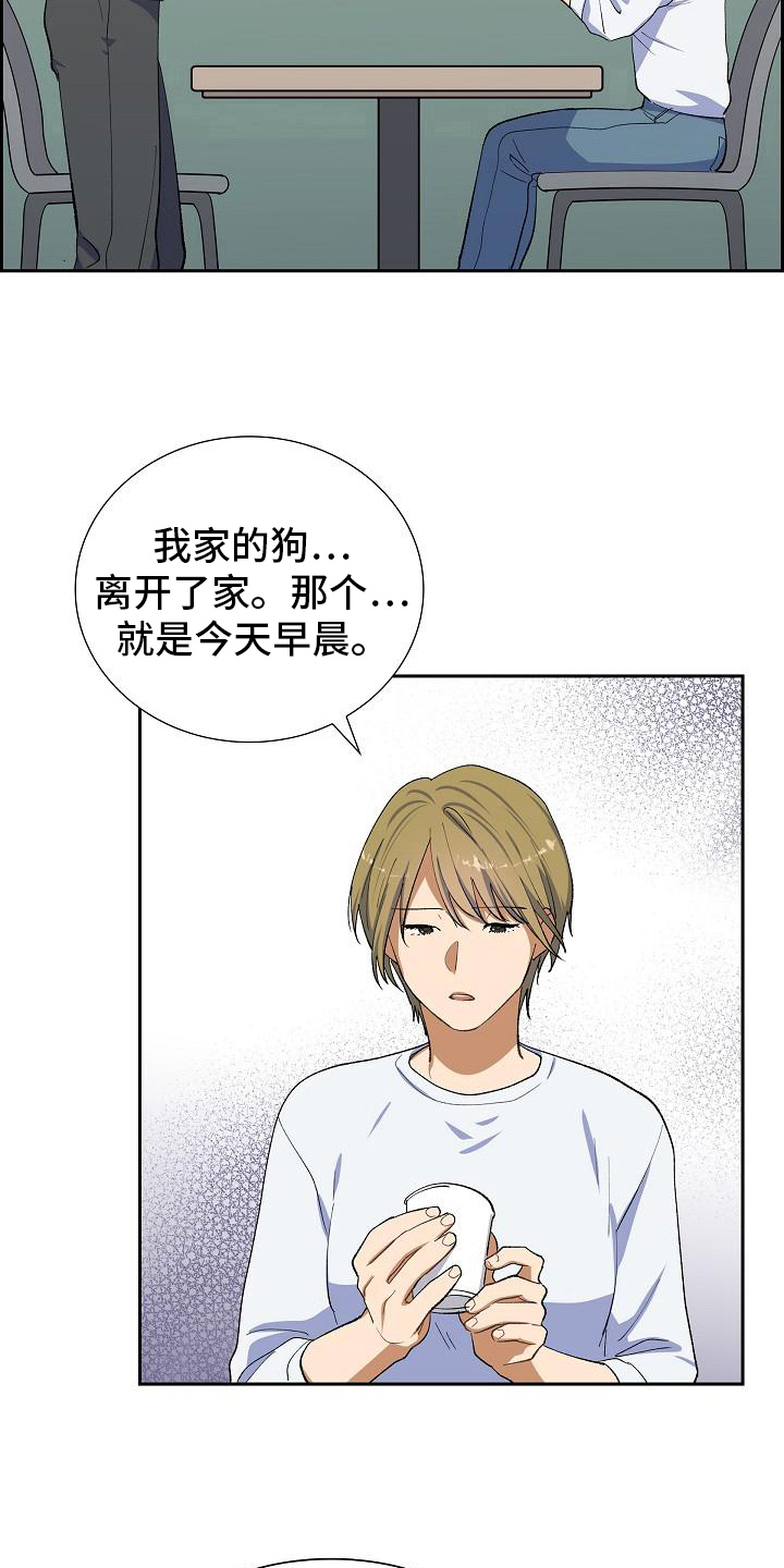 第17话：找狗预览分镜