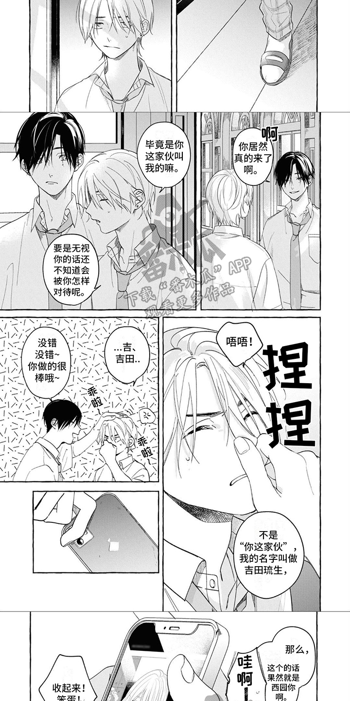 第5话：条件预览分镜