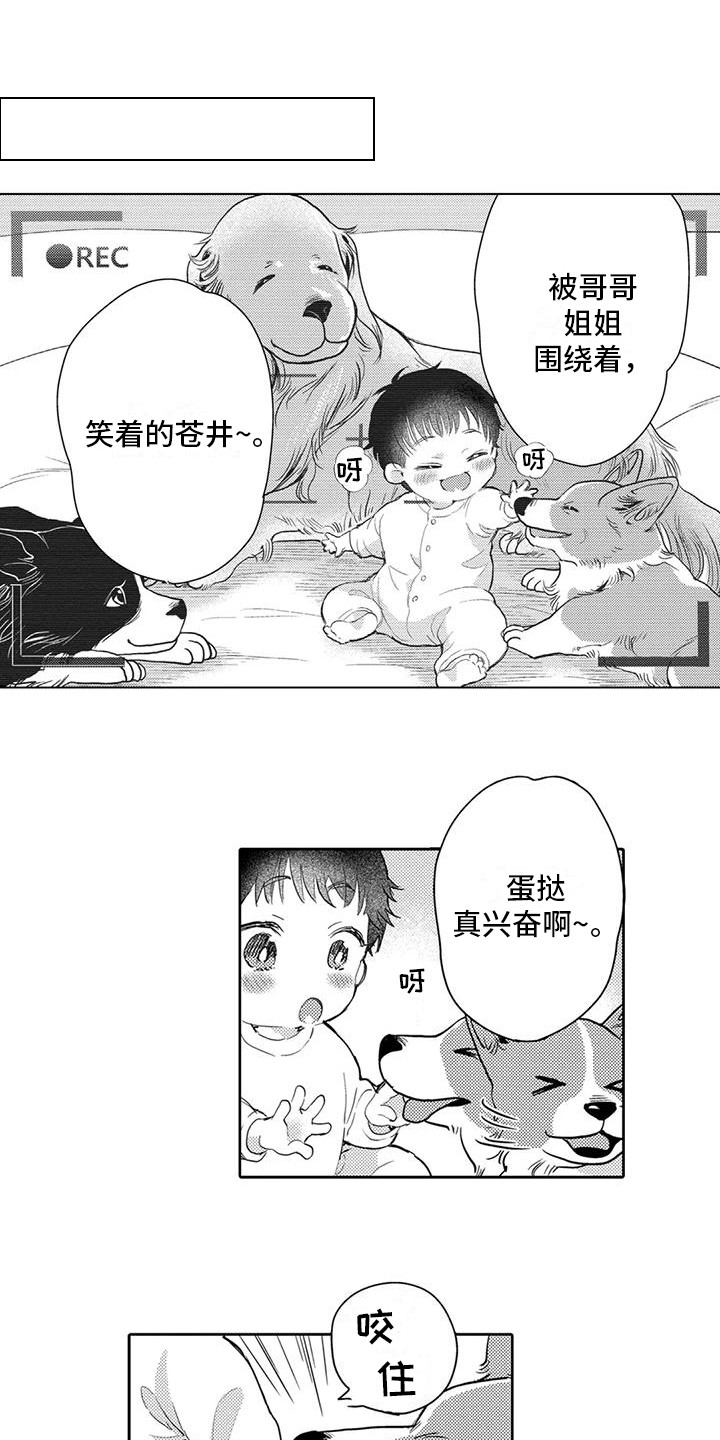 第7话：遛狗预览分镜