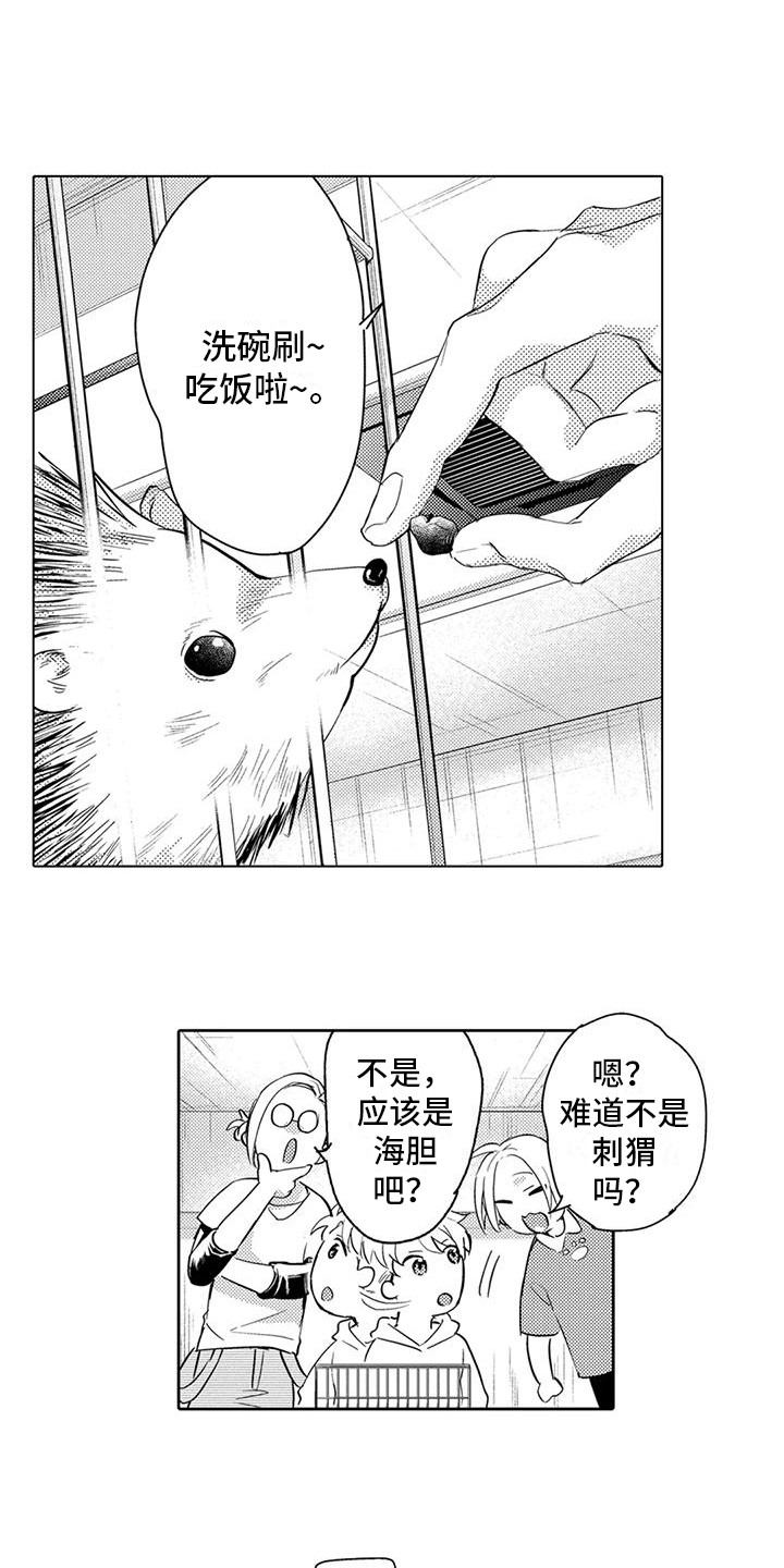 敞开心扉(完结)
