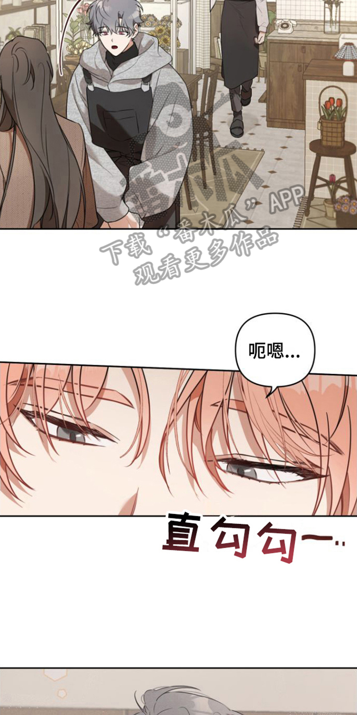 第6话：好奇预览分镜
