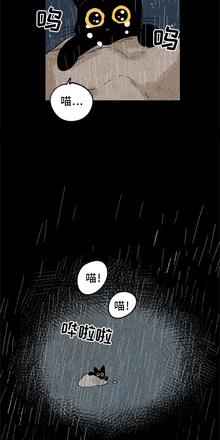 第4话：感化预览分镜