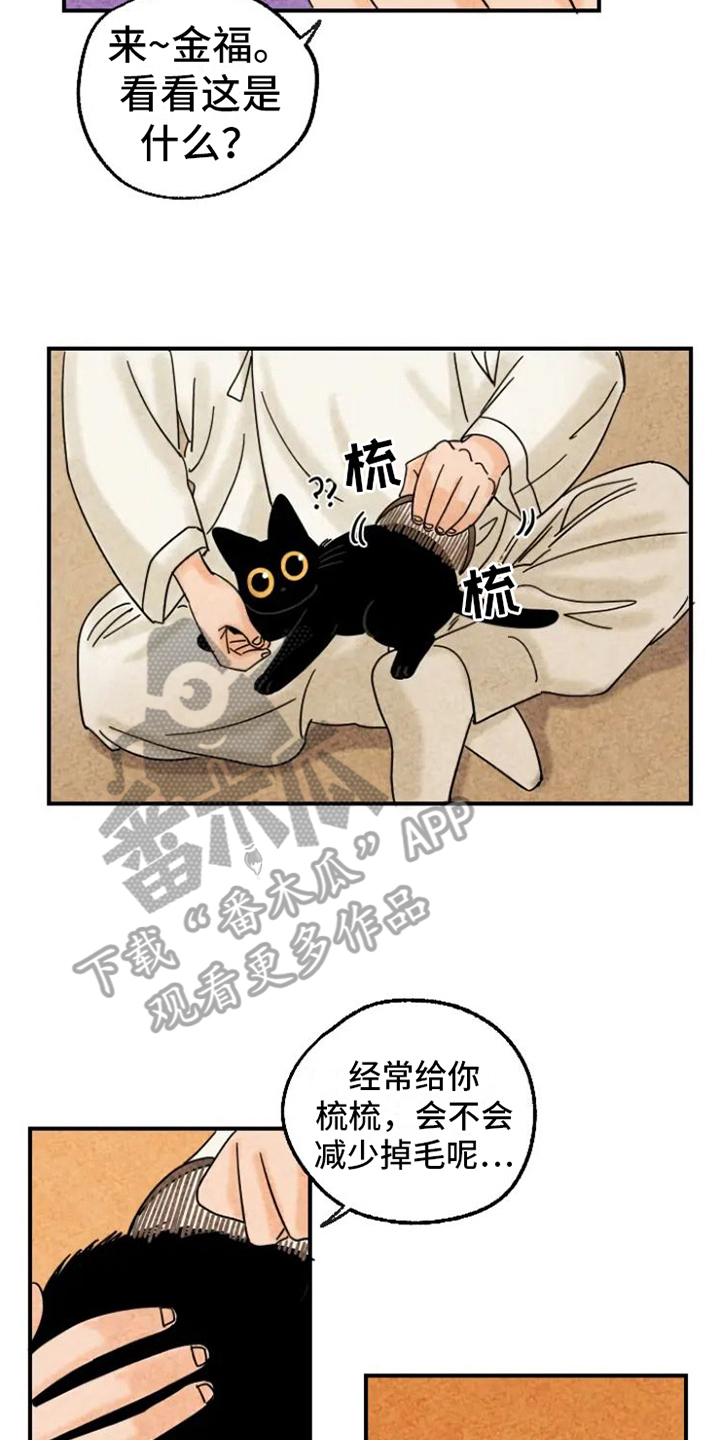 第15话：脏猫预览分镜