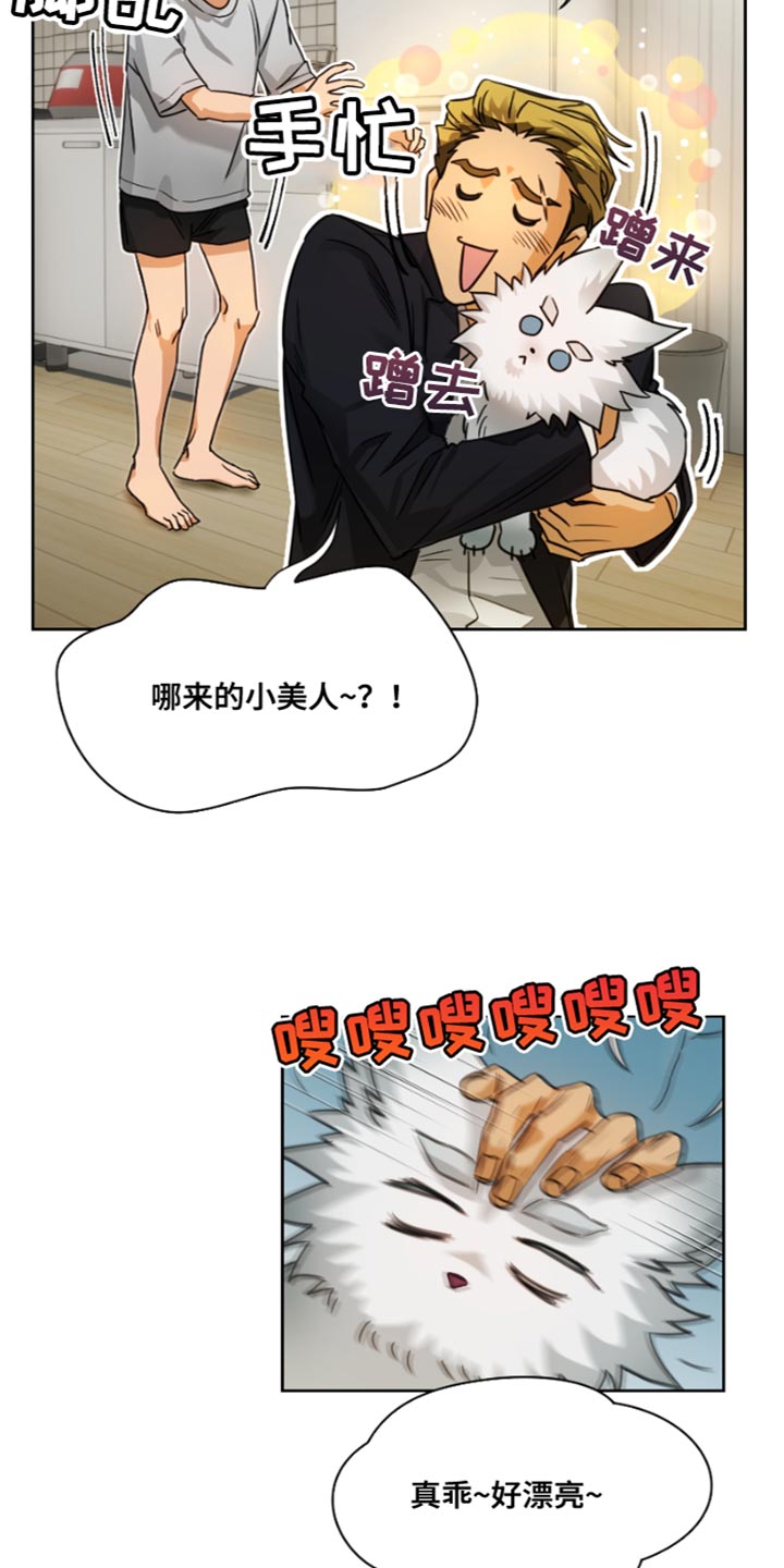 第18话：真是无礼预览分镜