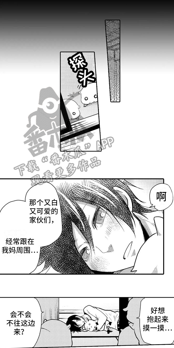 第5话：同居预览分镜