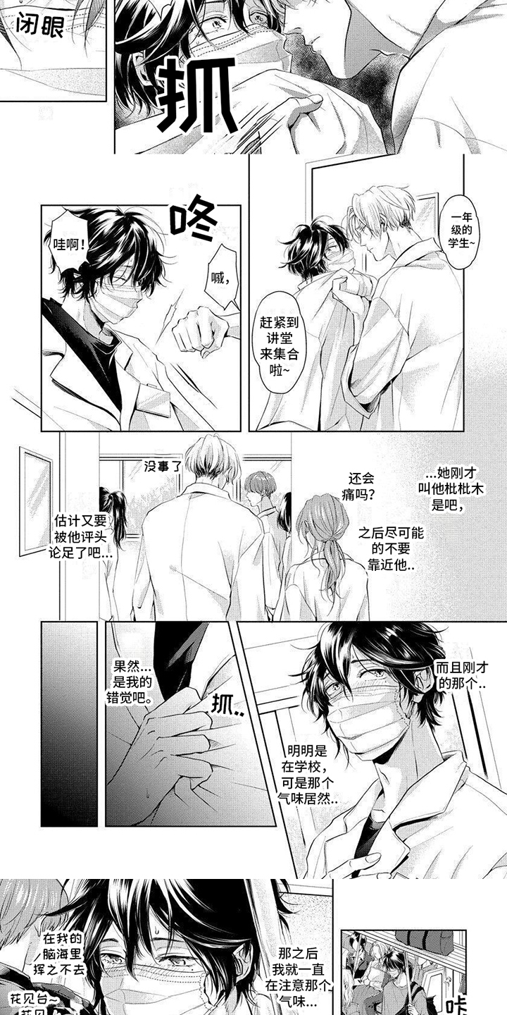 第2话：安心的气味预览分镜