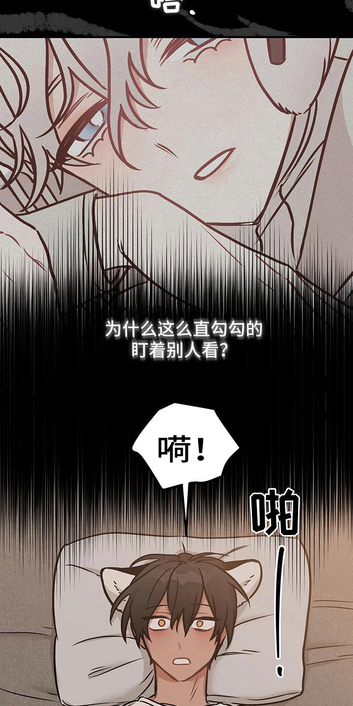 第5话：过夜预览分镜