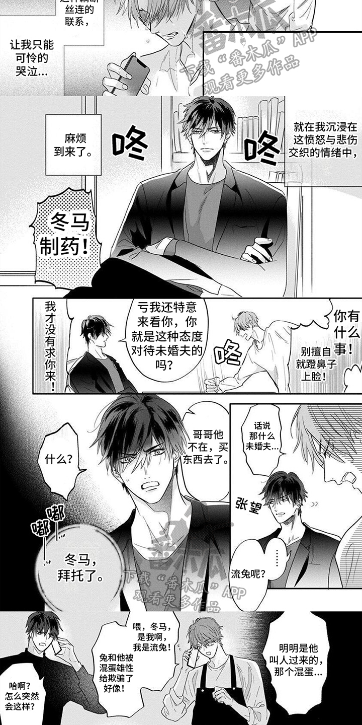 第10话：未婚夫预览分镜