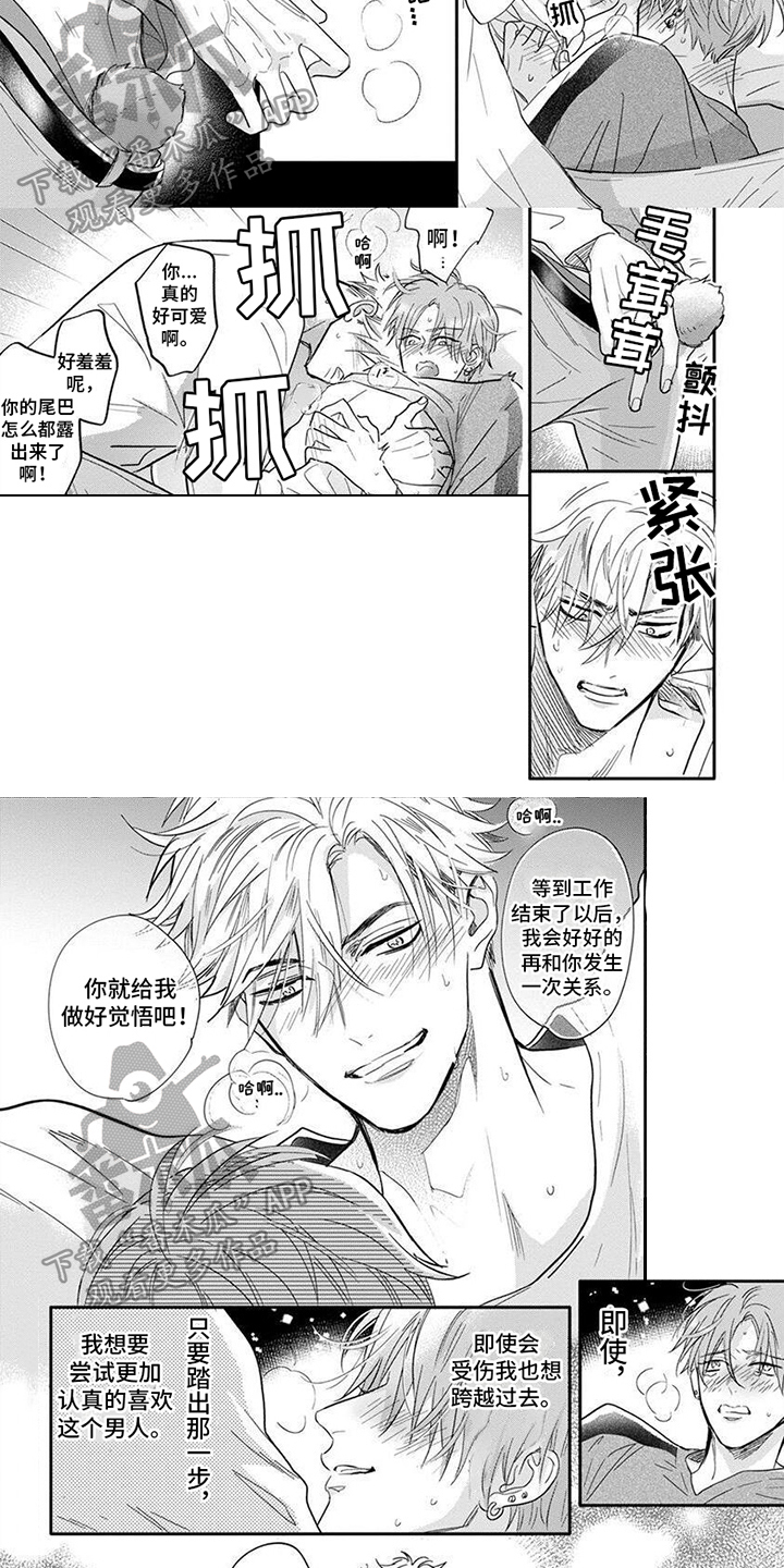第14话：真爱【完结】预览分镜