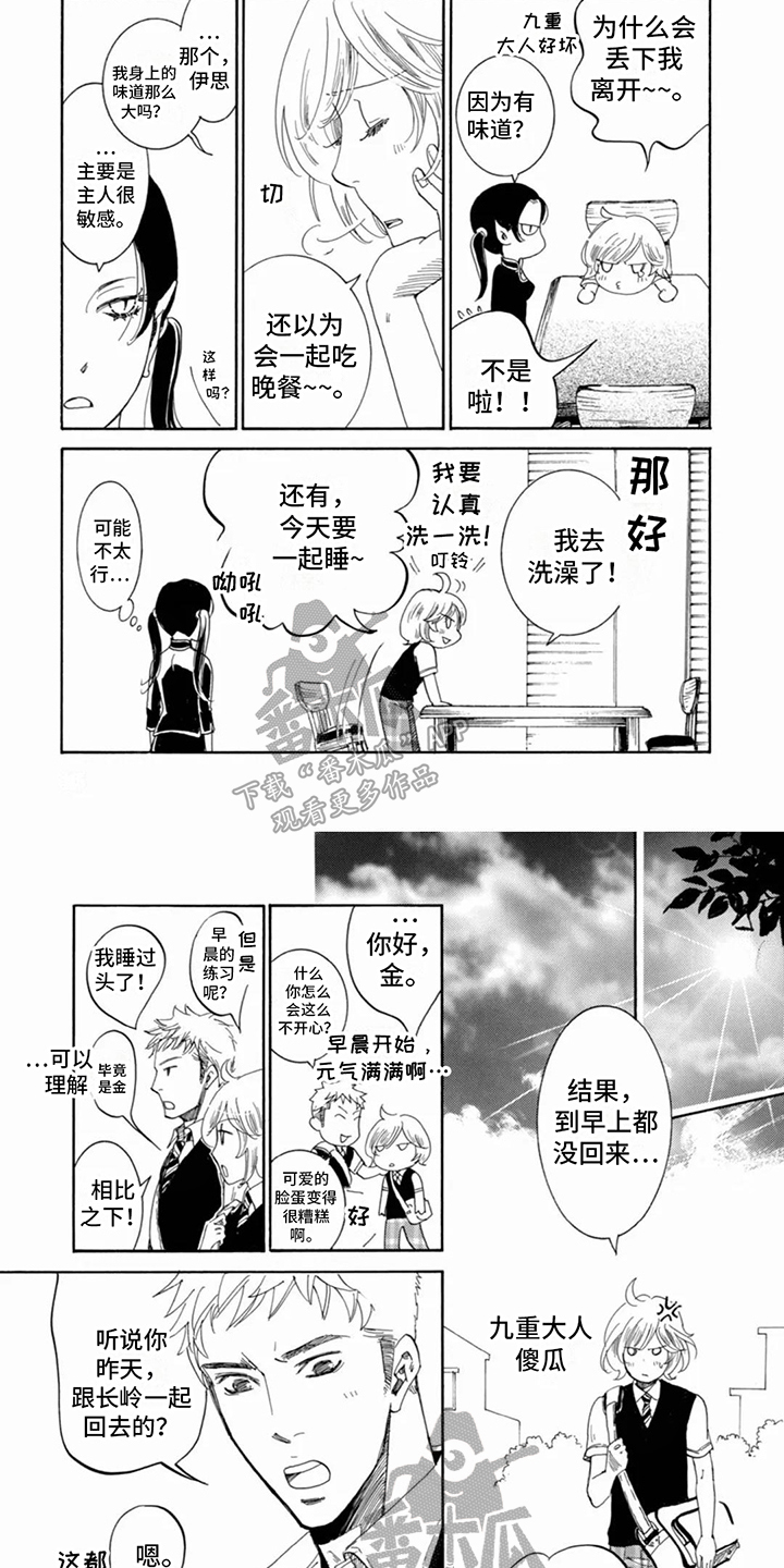 第12话：有味道预览分镜