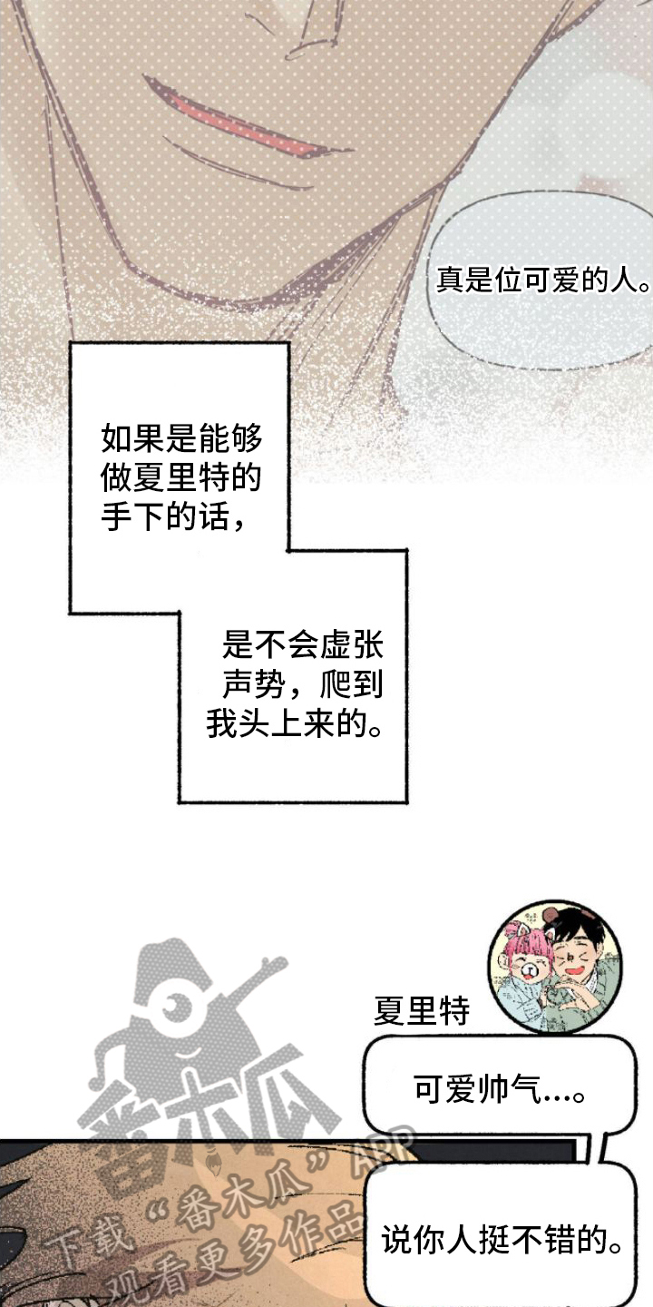 第5话：完美预览分镜