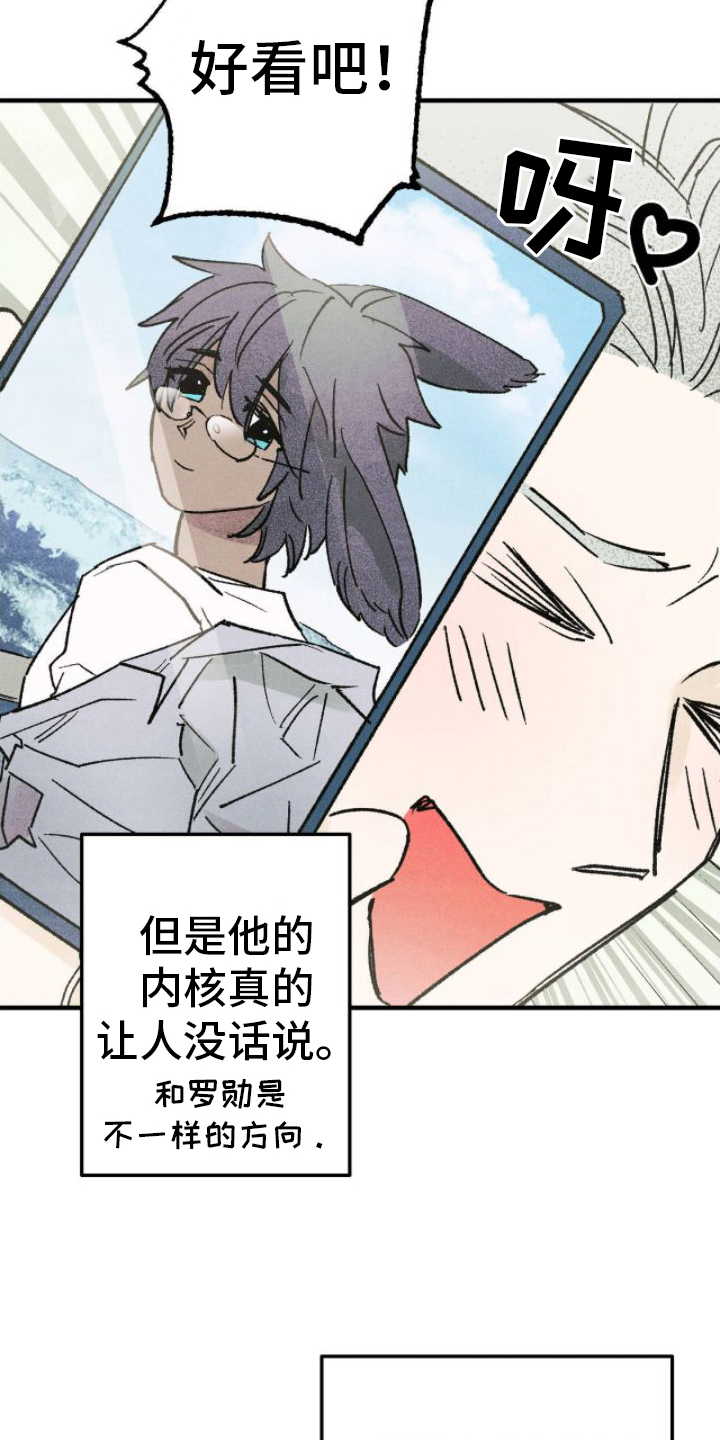 第17话：出手预览分镜