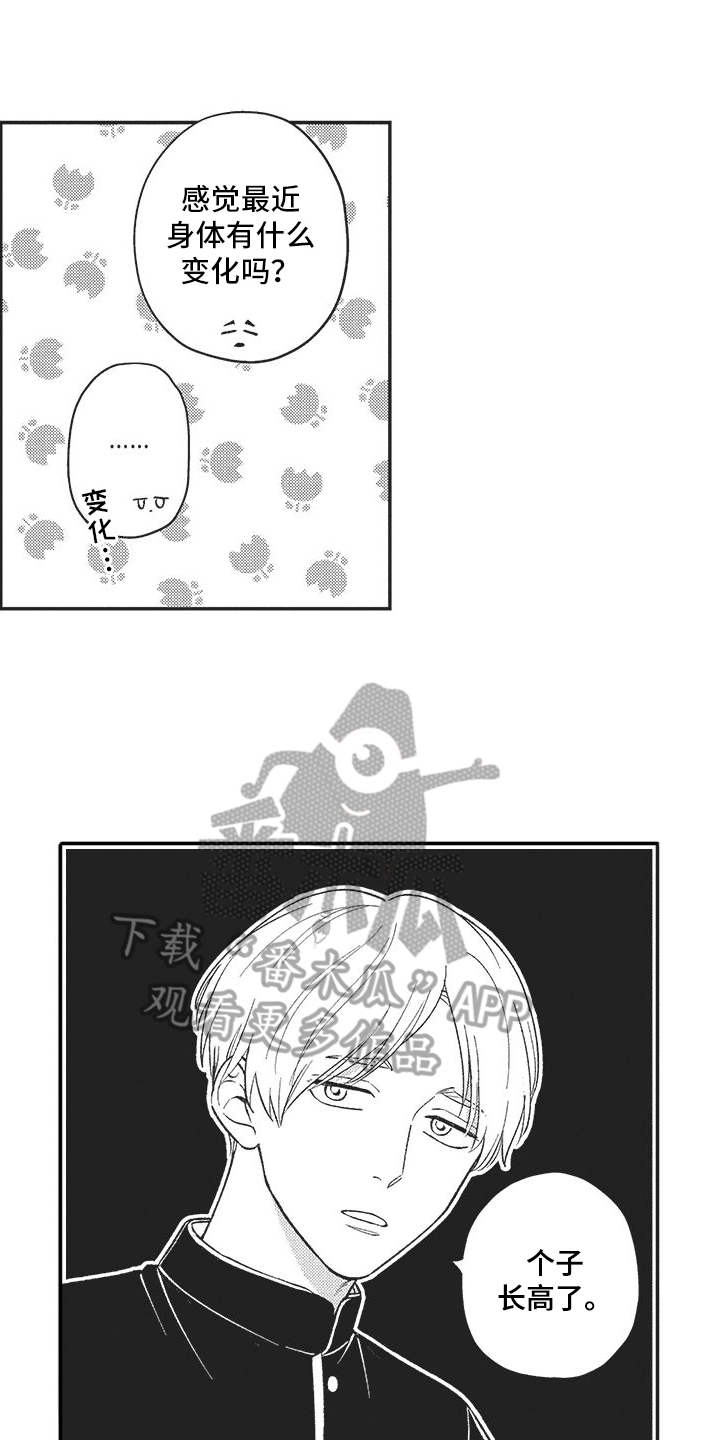 第6话：道歉预览分镜