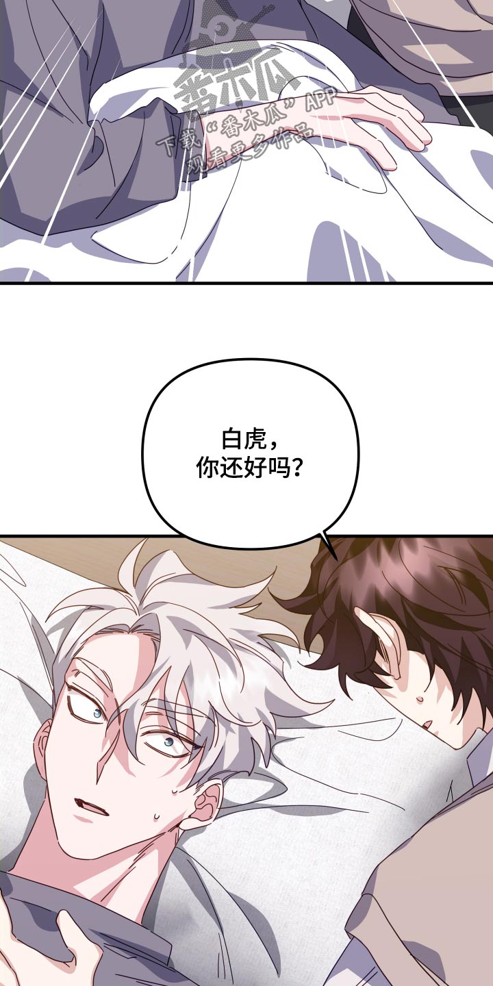 尽快(完结)