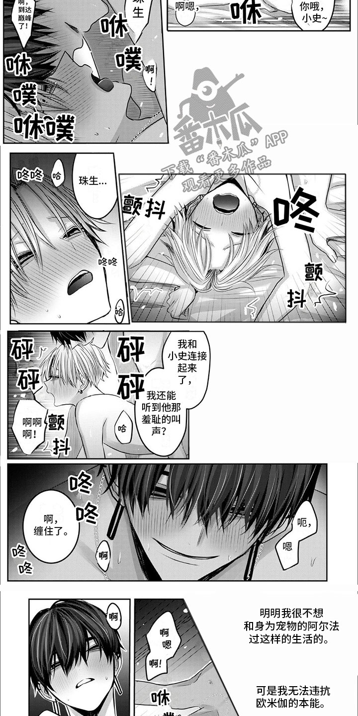 第8话：记住彼此预览分镜
