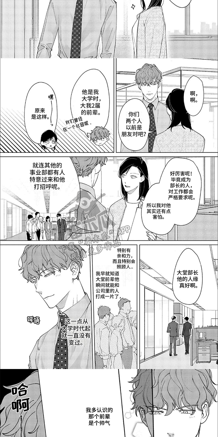 第4话：面不改色预览分镜