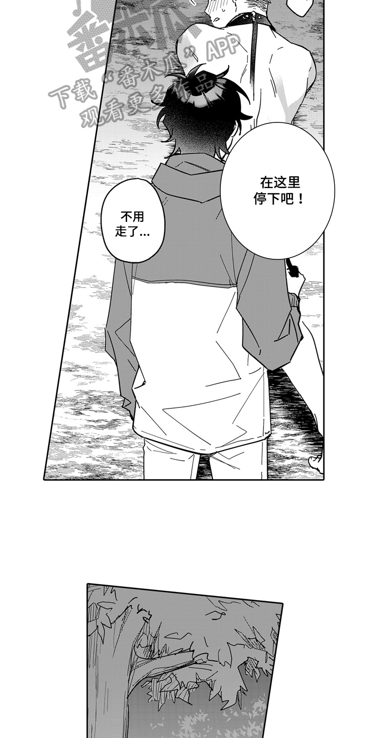 第13话：散步预览分镜