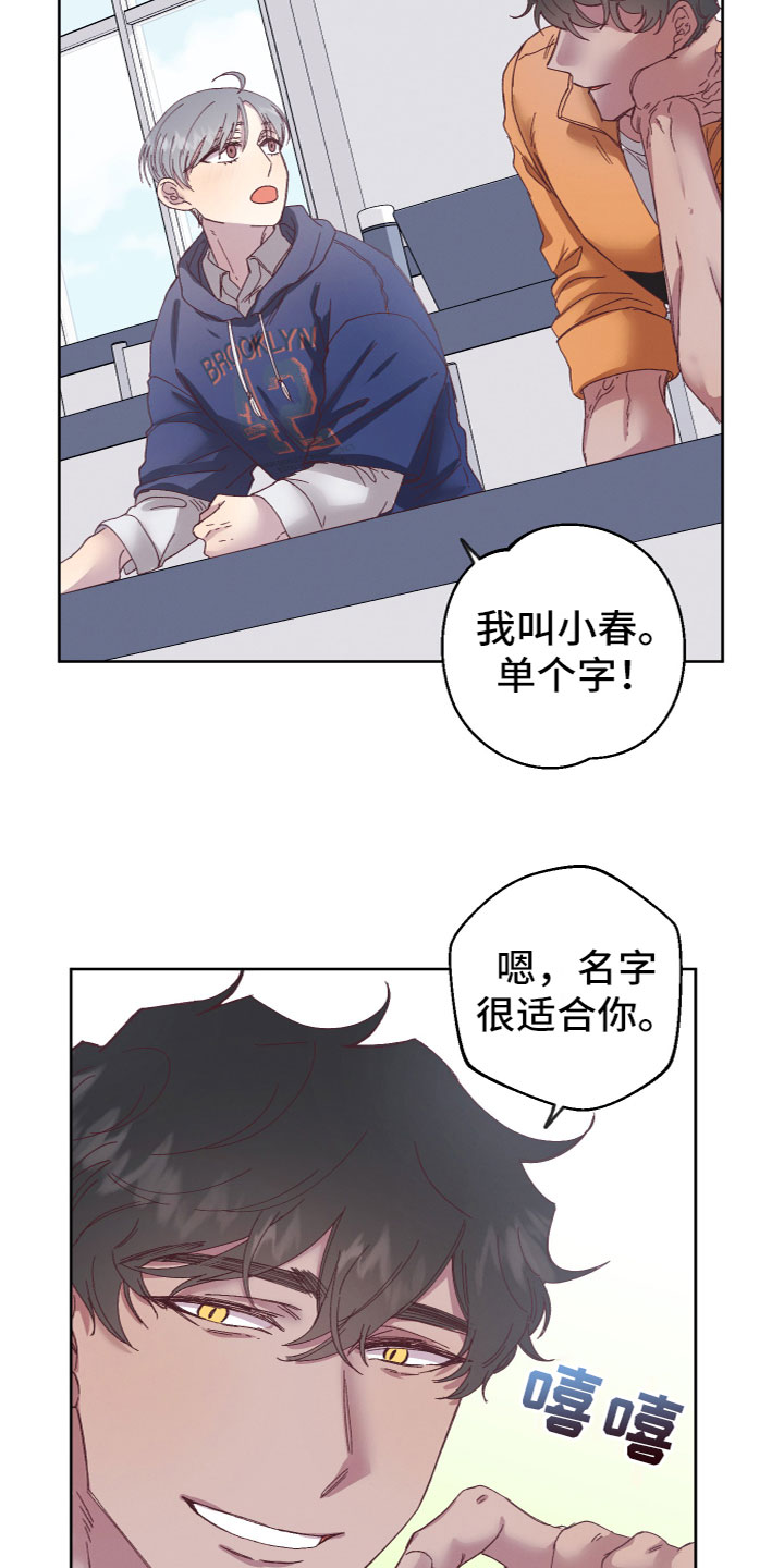 第3话：朋友和邻居预览分镜