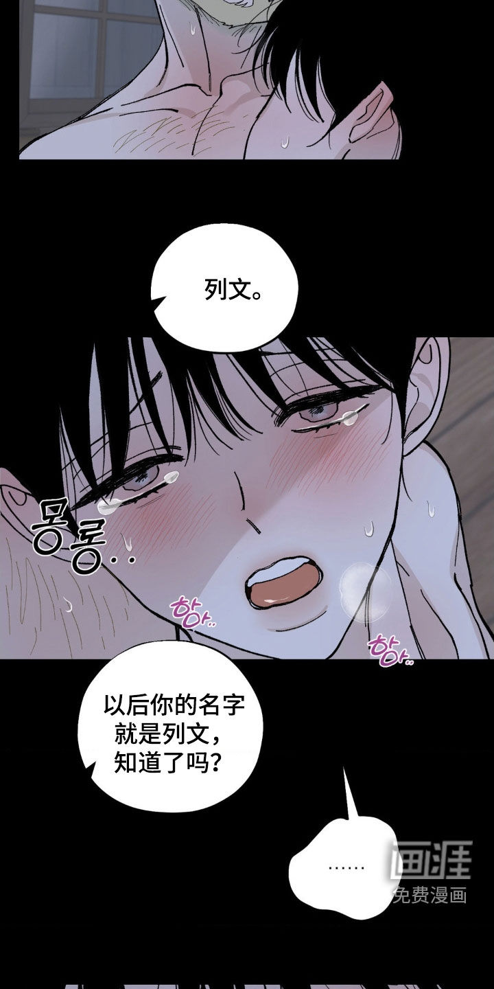 第85章:什么都不想去想