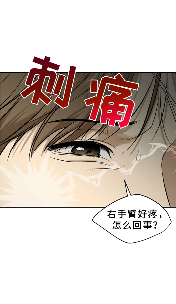 第196章:【同人末世篇】如愿?