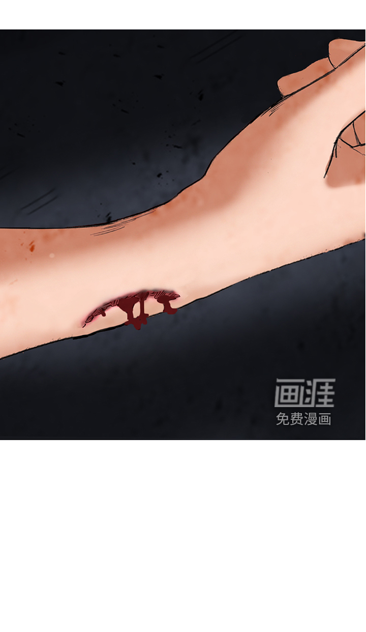第196章:【同人末世篇】如愿?