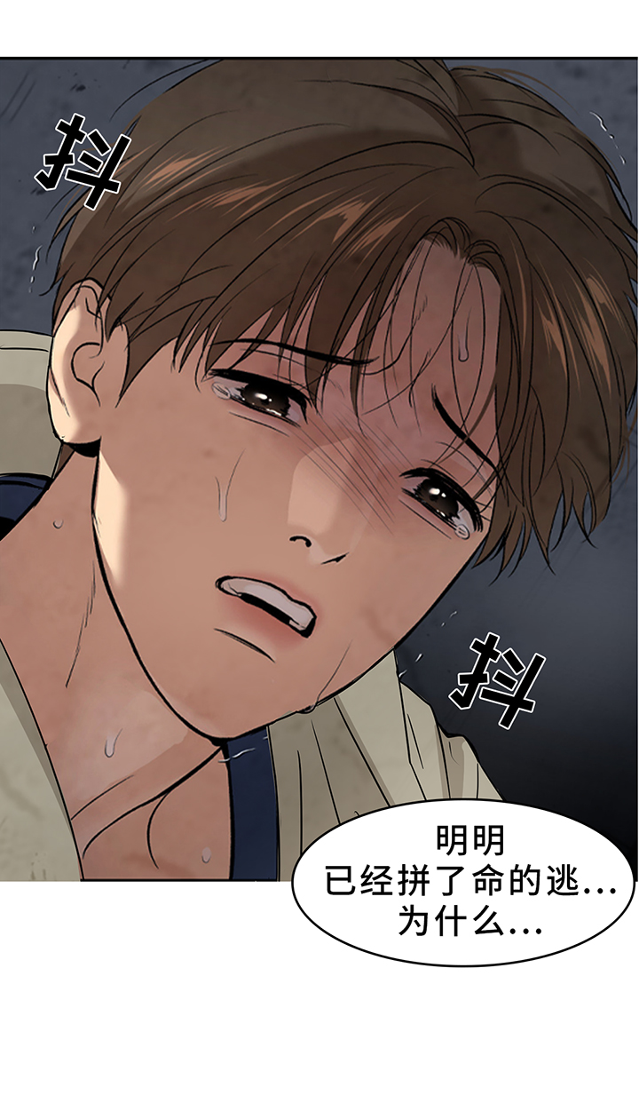 第196章:【同人末世篇】如愿?
