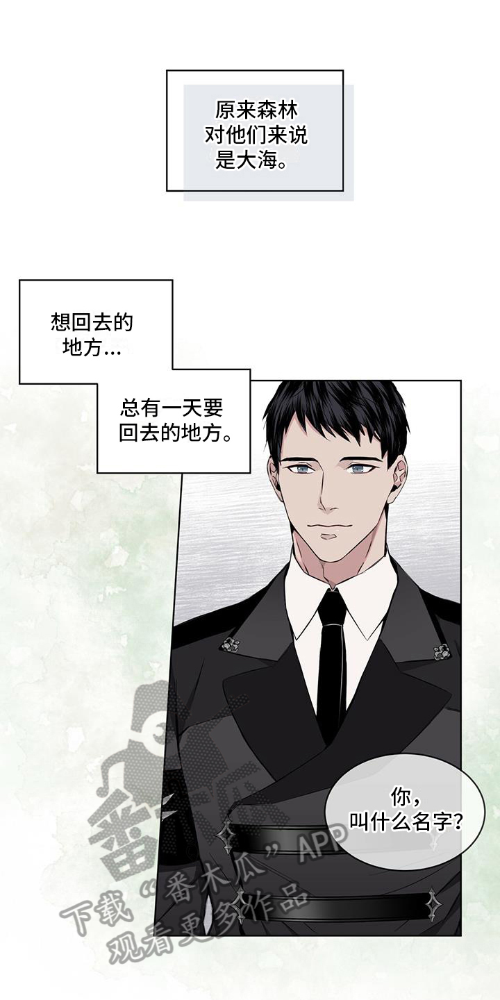 第14话：受伤预览分镜