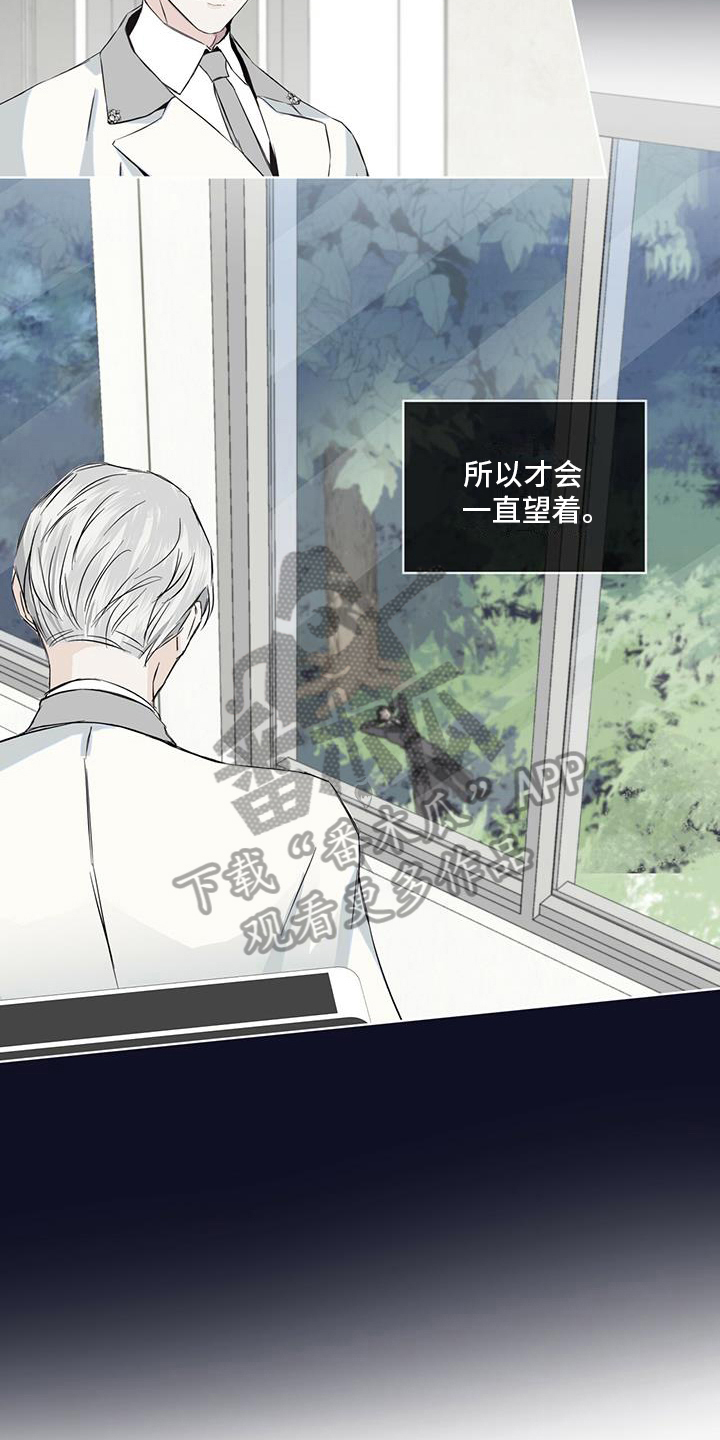 第17话：划清界限预览分镜