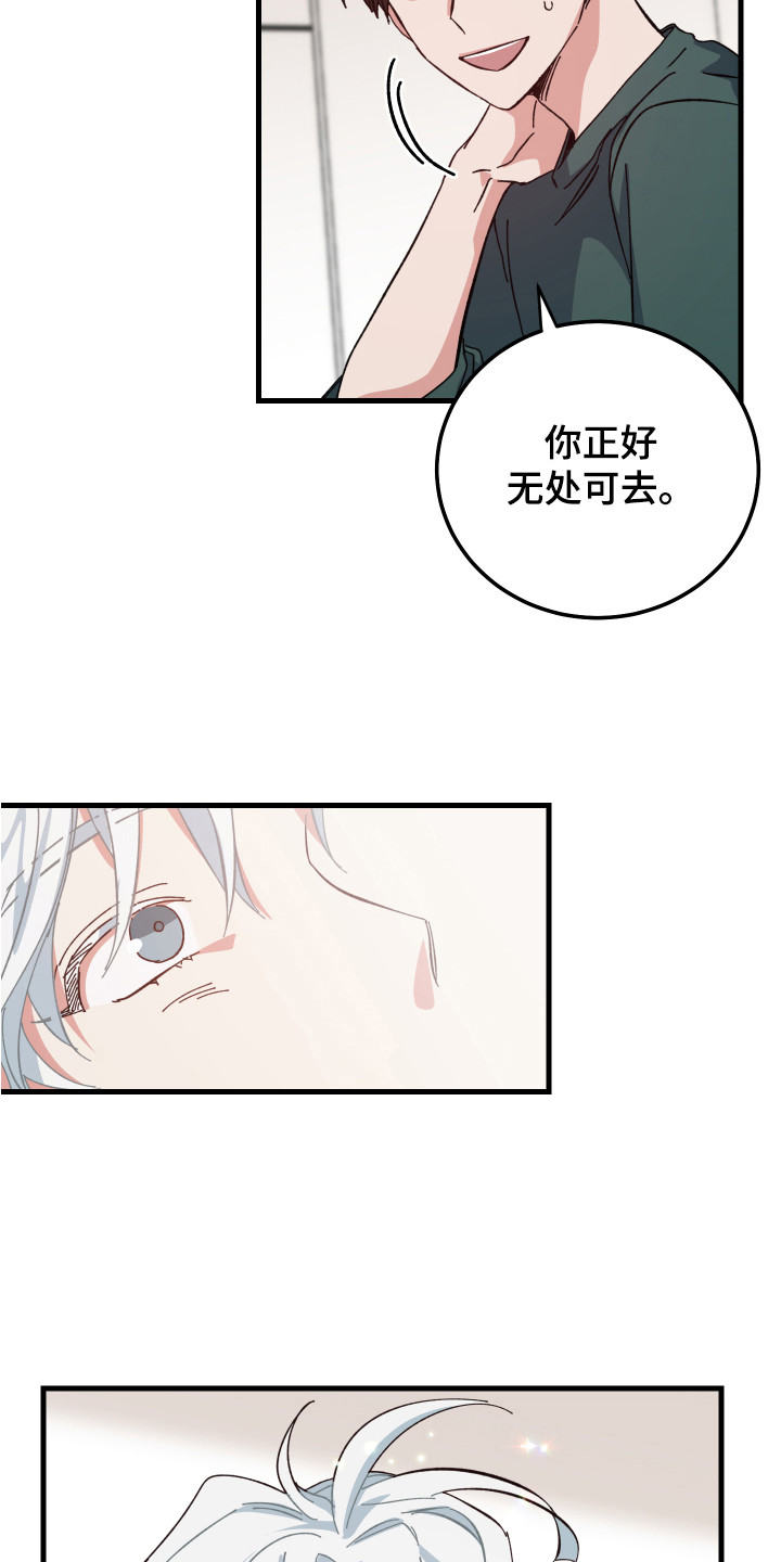 第10话：一起生活预览分镜