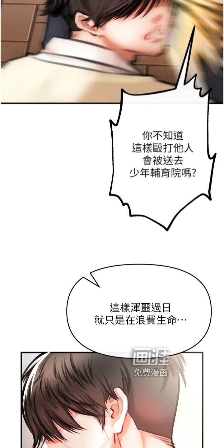 第17话：第17章：结论预览分镜