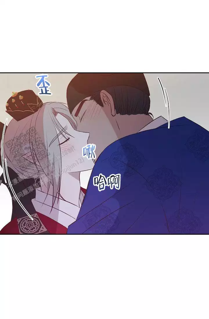 夫人(完结)