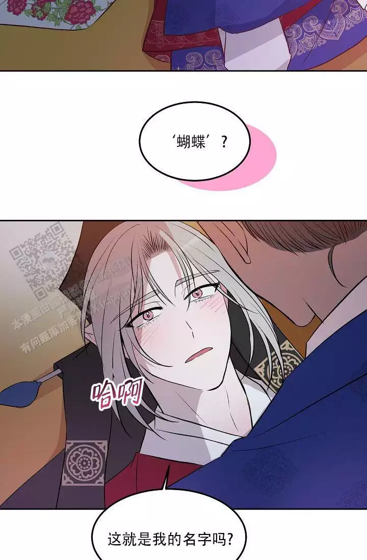 夫人(完结)