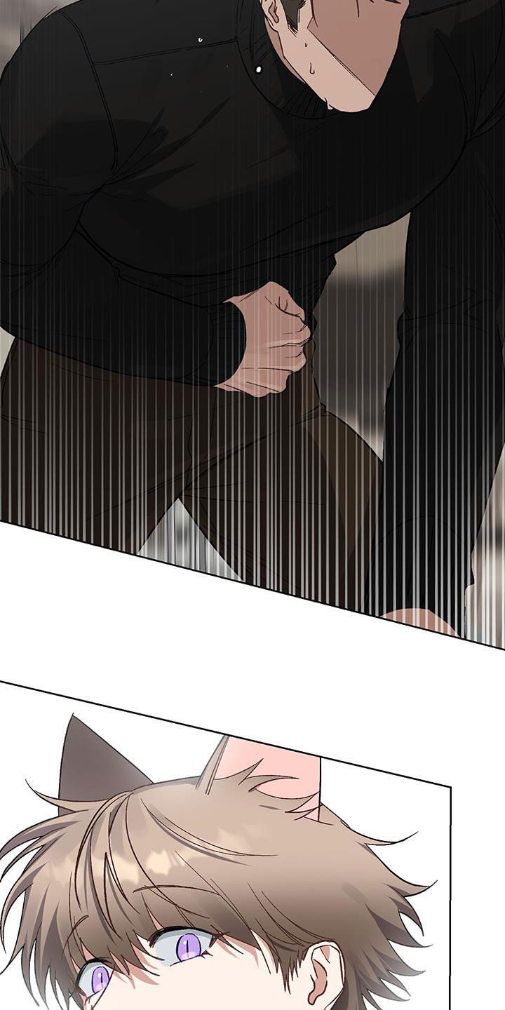 第18话：第18章：【番外】真是笨蛋预览分镜