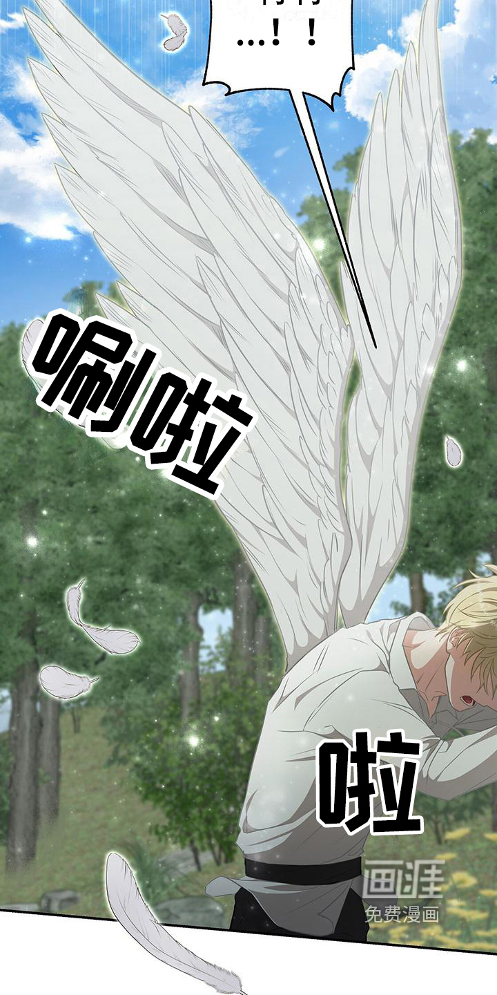 第9话：第9章：天人族预览分镜