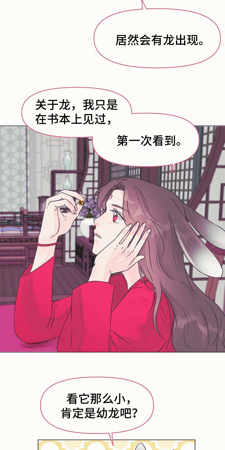 第2话：第2章：取名预览分镜