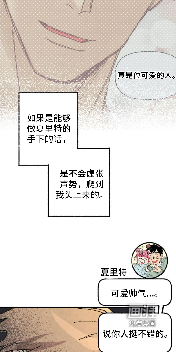 第5话：第5章：完美预览分镜