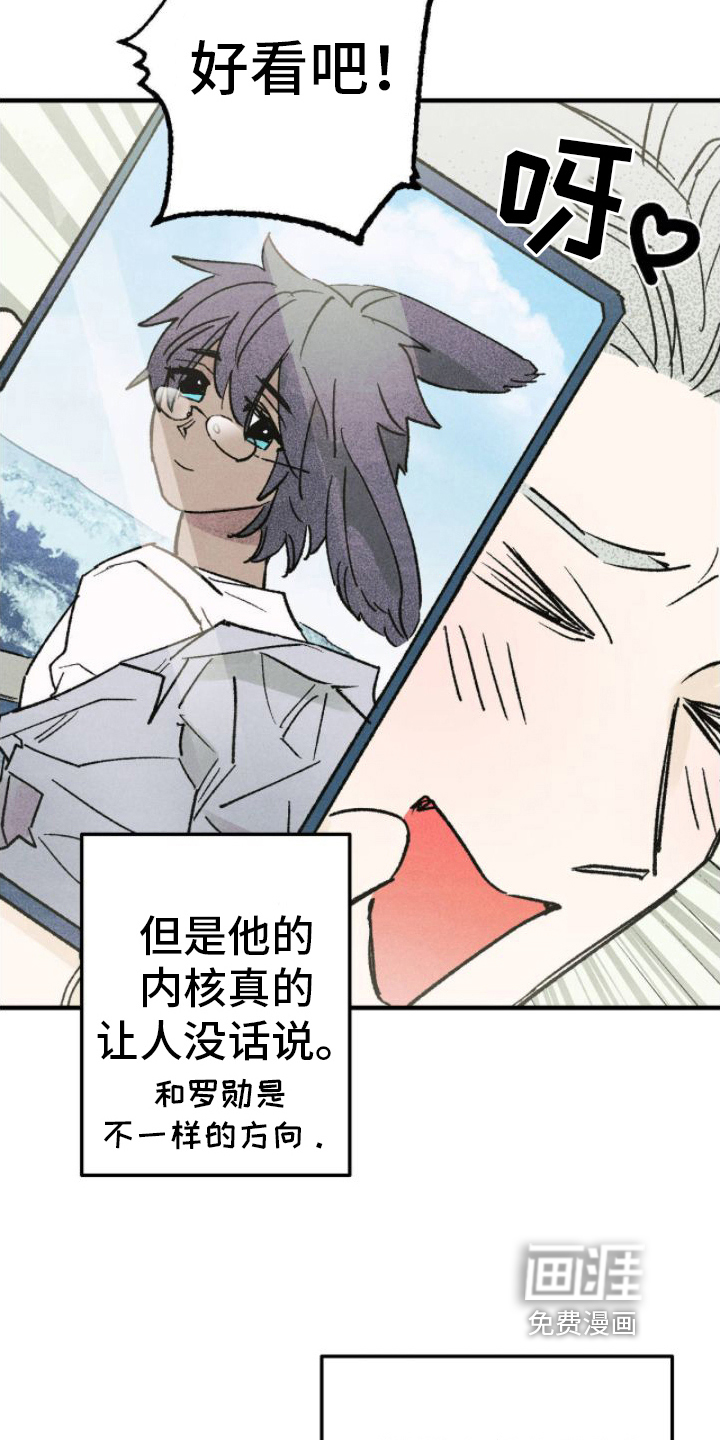 第17话：第17章：出手预览分镜