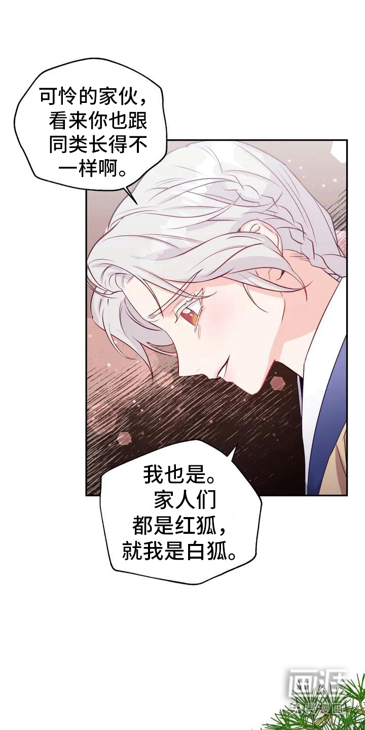 第4话：第4章：老虎预览分镜