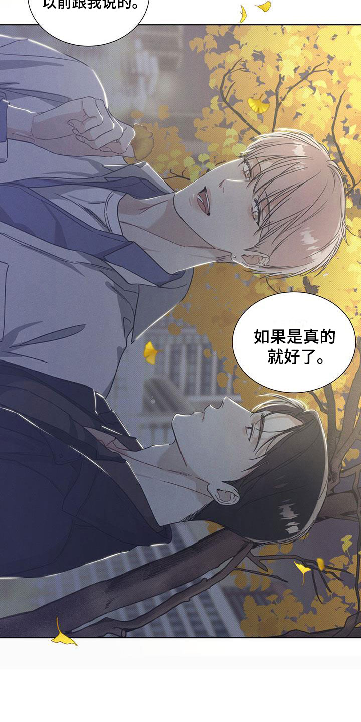 第10话：第10章：你的愿望预览分镜