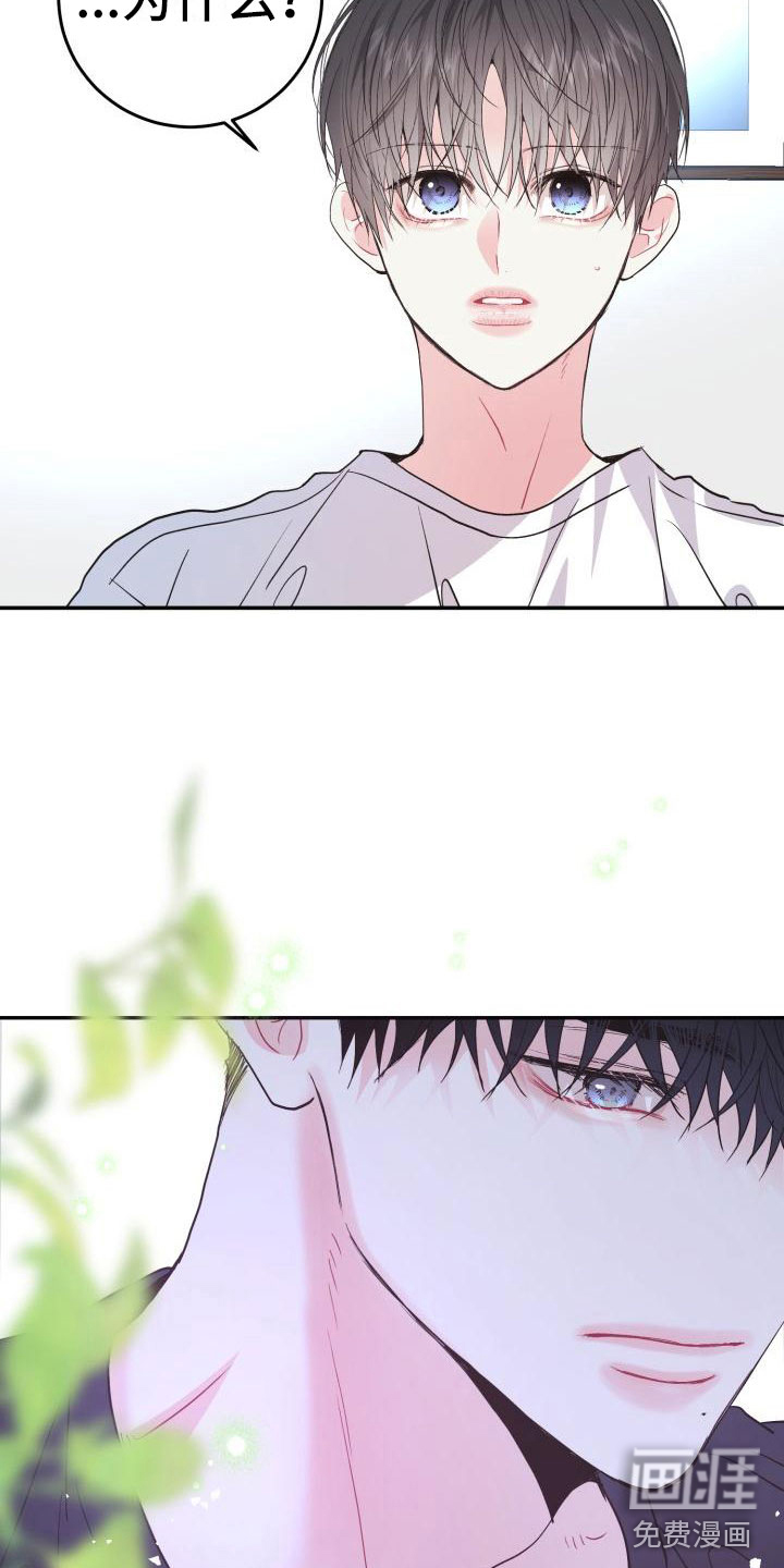 第13话：第13章：心动预览分镜