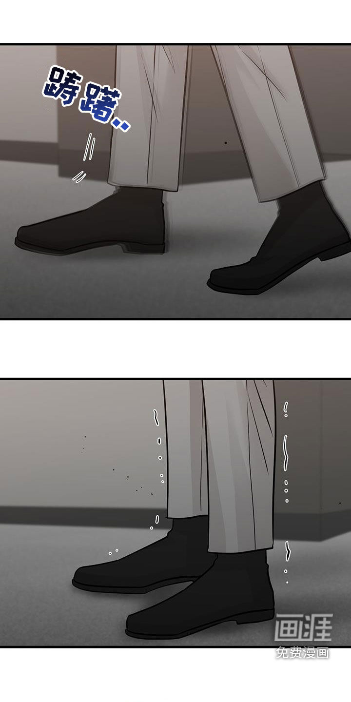 视频报告(第一季完结)