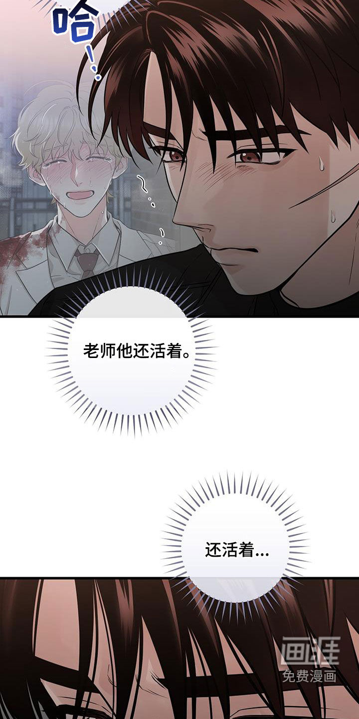 视频报告(第一季完结)