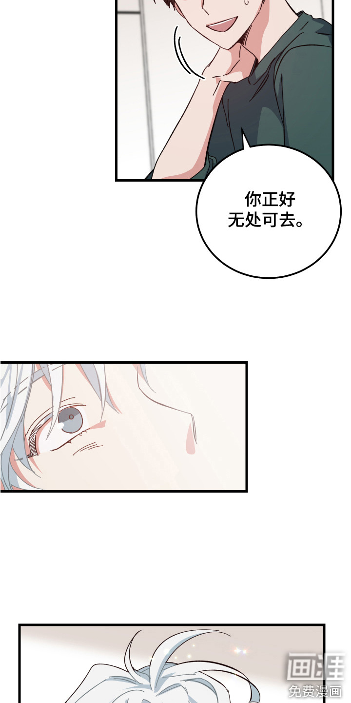 第10话：第10章：一起生活预览分镜