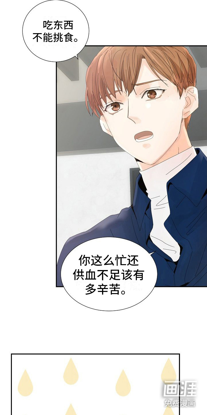 第11话：第11章：光环预览分镜