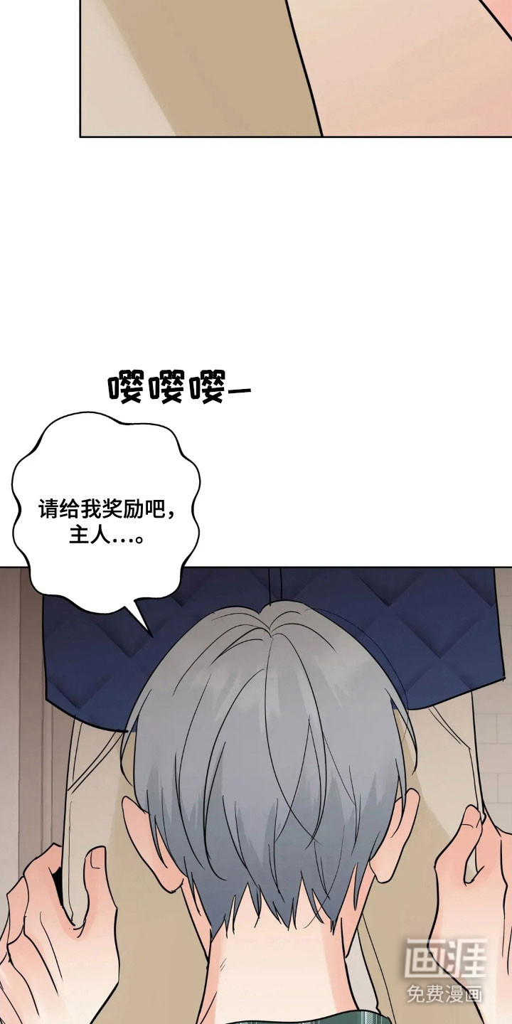 第153章:【第四季】最后问候