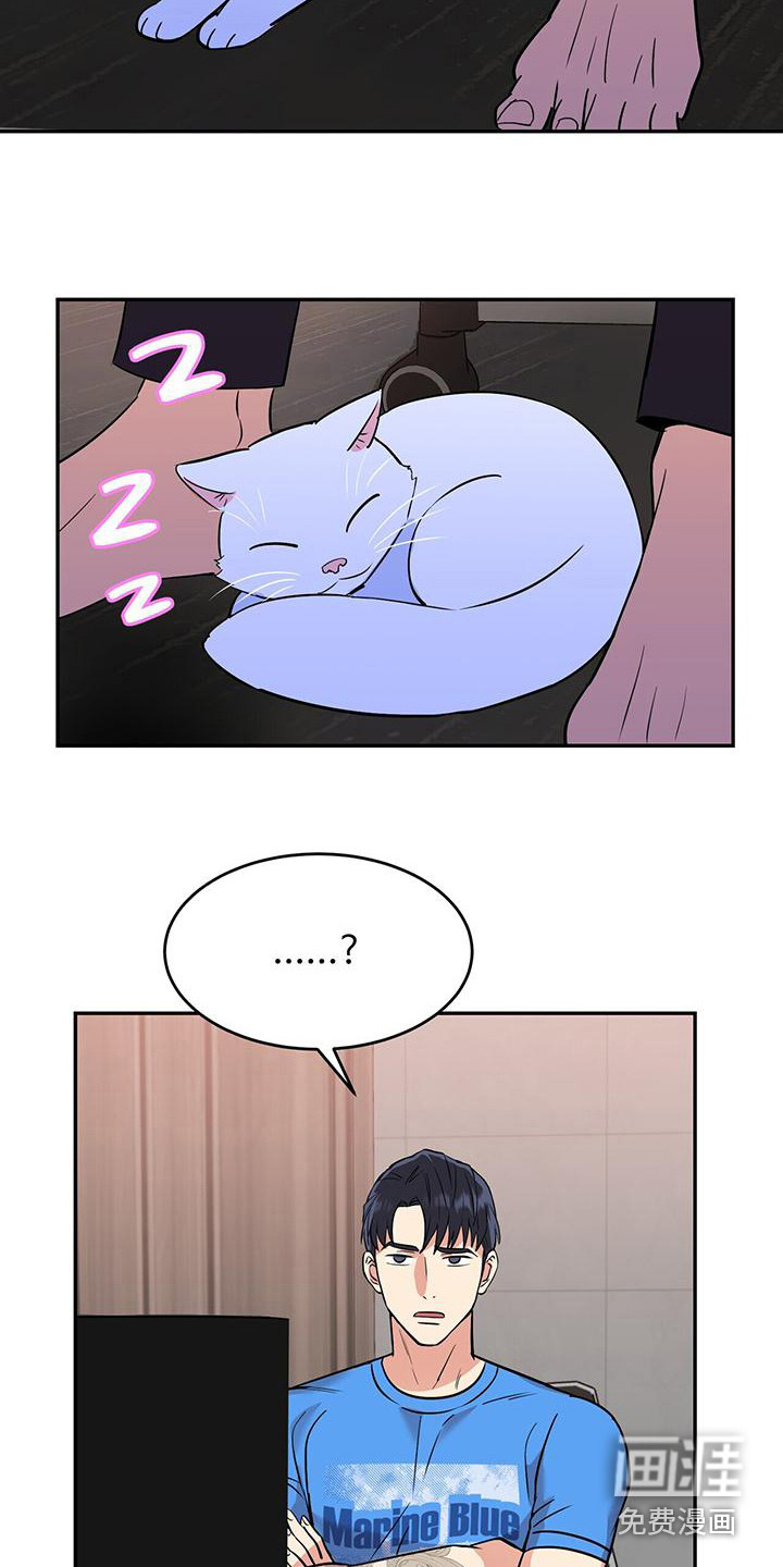 第8话：第8章：概括要点预览分镜