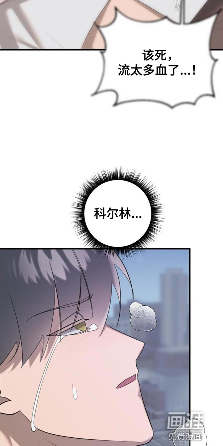 第15话：第15章：变成吸血鬼预览分镜