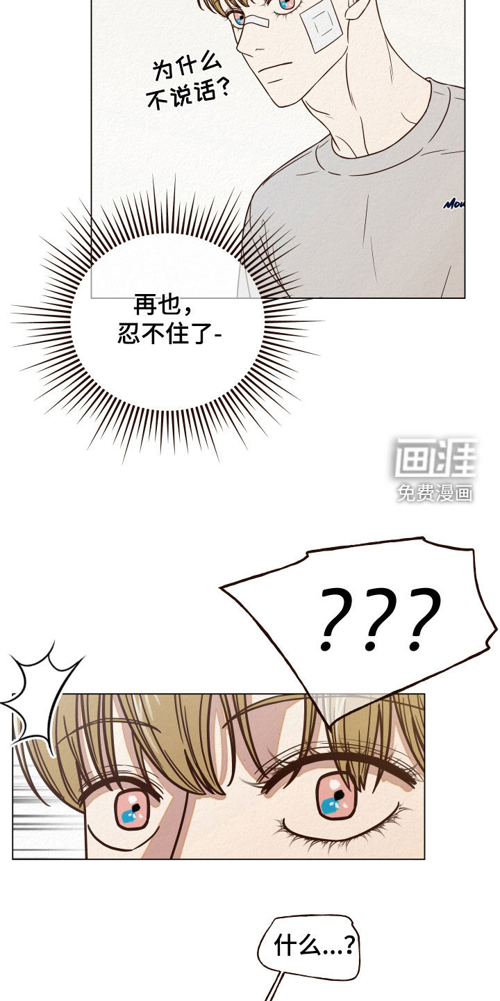 第15话：第15章：幻觉预览分镜